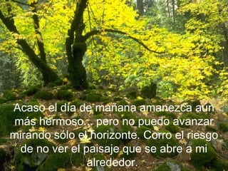Acaso el día de mañana amanezca aún
 más hermoso... pero no puedo avanzar
mirando sólo el horizonte. Corro el riesgo
  de no ver el paisaje que se abre a mi
                alrededor.
 