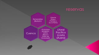 Oriente
(Napo,
Pastaza y
Sucumbíos)
Esmeraldas
(Borbón)
Guayaquil
(progreso,
Santa
Elena n
Golfo de
Guayaquil)
Litoral
Pacífico
(costa
afuera)
Cuenca
 