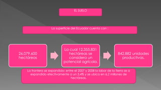 26,079.600
hectáreas
La cual 12,355.831
hectáreas se
considera un
potencial agrícola.
842,882 unidades
productivas.
EL SUELO
La superficie del Ecuador cuenta con :
La frontera se expandido: entre el 2007 y 2008 la labor de la tierra se a
expandido efectivamente a un 3,4% y se ubica en 6,2 millones de
hectáreas.
 