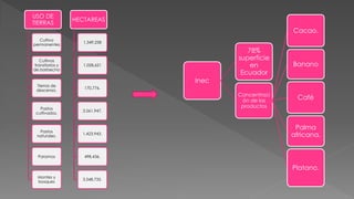 USO DE
TIERRAS
Cultivo
permanentes
Cultivos
transitorios y
de barbecho
Tierras de
descenso.
Pastos
cultivados.
Pastos
naturales.
Paramos
Montes y
bosques
HECTAREAS
1,349,258
1,028,621
170,776.
3,561,947.
1,423,943.
498,436.
3,548,735.
Inec
78%
superficie
en
Ecuador
Concentraci
ón de los
productos
Cacao.
Banano
Café
Palma
africana.
Platano.
 