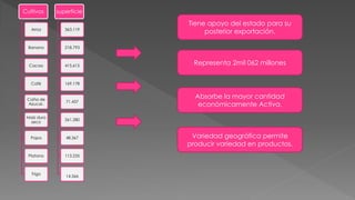 Cultivos
Arroz
Banano
Cacao
Café
Caña de
Azucar.
Maiz duro
seco
Papa
Platano
Trigo
superficie
363.119
218.793
415.615
169.178
71.437
261.280
48.367
113.235
14.566
Tiene apoyo del estado para su
posterior exportación.
Representa 2mil 062 millones
Absorbe la mayor cantidad
económicamente Activa.
Variedad geográfica permite
producir variedad en productos.
 