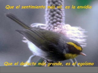 Que el sentimiento más vil, es la envidia Que el defecto más grande, es el egoísmo 