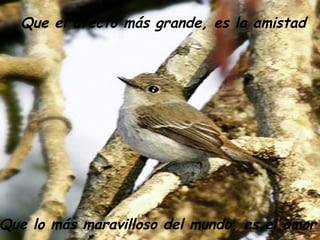 Que el afecto más grande, es la amistad Que lo más maravilloso del mundo, es el amor 