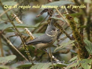 Que el regalo más hermoso, es el perdón Que la felicidad más grande, es la paz 