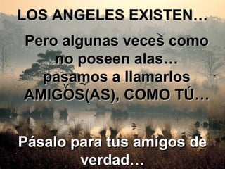 LOS ANGELES EXISTEN… Pero algunas veces como no poseen alas… pasamos a llamarlos AMIGOS(AS), COMO TÚ… Pásalo para tus amigos de verdad…