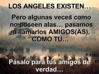 LOS ANGELES EXISTEN… Pero algunas veces como no poseen alas… pasamos a llamarlos AMIGOS(AS), COMO TÚ…  Pásalo para tus amigos de verdad… 