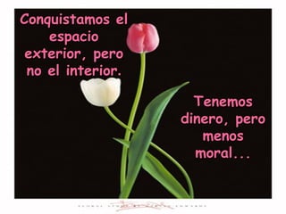 Tenemos dinero, pero menos moral... Conquistamos el espacio exterior, pero no el interior . 
