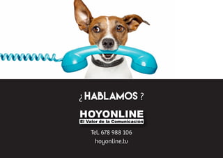 Hoyonline- Presentación Empresa
