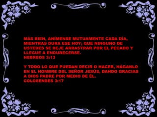 MÁS BIEN, ANÍMENSE MUTUAMENTE CADA DÍA,
MIENTRAS DURA ESE HOY; QUE NINGUNO DE
USTEDES SE DEJE ARRASTRAR POR EL PECADO Y
LLEGUE A ENDURECERSE.
HEBREOS 3:13

Y TODO LO QUE PUEDAN DECIR O HACER, HÁGANLO
EN EL NOMBRE DEL SEÑOR JESÚS, DANDO GRACIAS
A DIOS PADRE POR MEDIO DE ÉL.
COLOSENSES 3:17
 