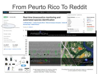 From Peurto Rico To Reddit

 