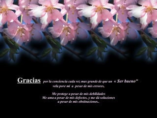 Gracias   por la conciencia cada vez mas grande de que un  « Ser bueno"   vela pore mí  a  pesar de mis errores, Me protege a pesar de mis debilidades Me ama a pesar de mis defectos, y me dá soluciones a pesar de mis obstinaciones.. 