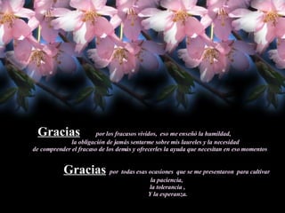Gracias   por los fracasos vividos,  eso me enseñó la humildad, la obligación de jamás sentarme sobre mis laureles y la necesidad  de comprender el fracaso de los demás y ofrecerles la ayuda que necesitan en eso momentos Gracias   por  todas esas ocasiones  que se me presentaron  para cultivar  la paciencia,  la tolerancia , Y la esperanza. 