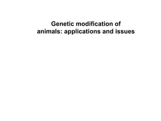 Genetic modification of animals: applications and issues 