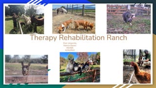 Therapy Rehabilitation Ranch
Post University
Dianna Oleson
HSV405
4/24/2022
 