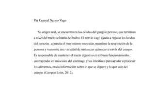 Par Craneal Nervio Vago
Su origen real, se encuentra en las células del ganglio petroso, que terminan
a nivel del tracto solitario del bulbo. El nervio vago ayuda a regular los latidos
del corazón , controla el movimiento muscular, mantiene la respiración de la
persona y transmite una variedad de sustancias químicas a través del cuerpo.
Es responsable de mantener el tracto digestivo en el buen funcionamiento,
contrayendo los músculos del estómago y los intestinos para ayudar a procesar
los alimentos, envía información sobre lo que se digiere y lo que sale del
cuerpo. (Campos León, 2012).
 