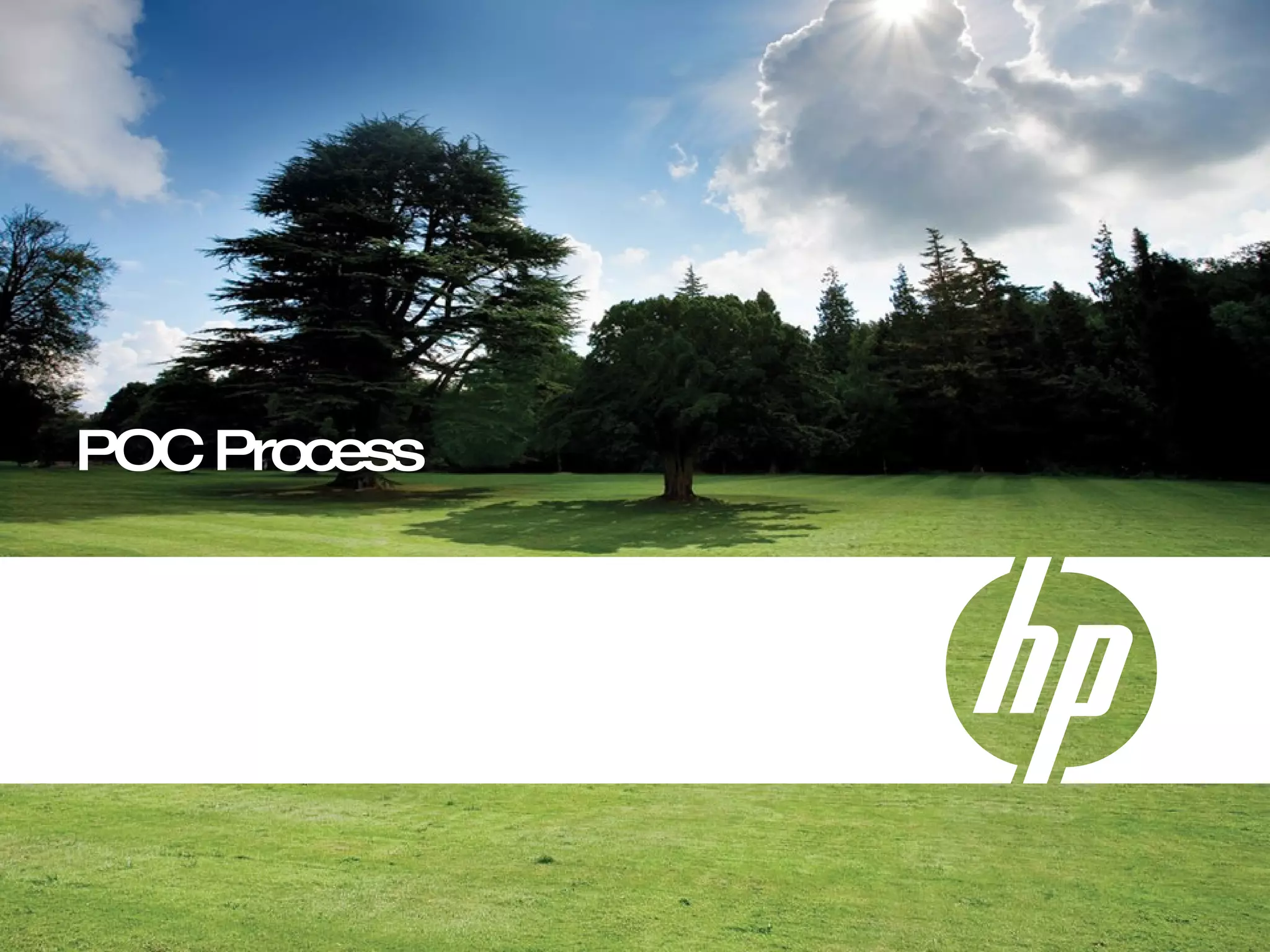 POC Process 