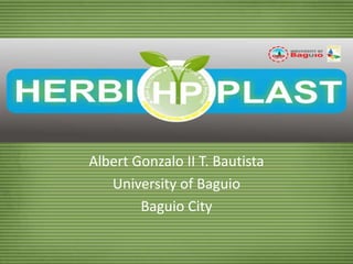 Albert Gonzalo II T. Bautista University of Baguio Baguio City 