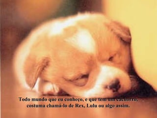 Todo mundo que eu conheço, e que tem um cachorro, costuma chamá-lo de Rex, Lulu ou algo assim. 