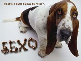 Eu botei o nome do meu de "Sexo". 