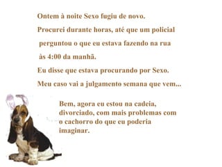Ontem à noite Sexo fugiu de novo.  Procurei durante horas, até que um policial perguntou o que eu estava fazendo na rua às 4:00 da manhã. Eu disse que estava procurando por Sexo. Meu caso vai a julgamento semana que vem...   Bem, agora eu estou na cadeia, divorciado, com mais problemas com o cachorro do que eu poderia imaginar.   