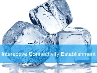 Interactive Connectivity Establishment
 