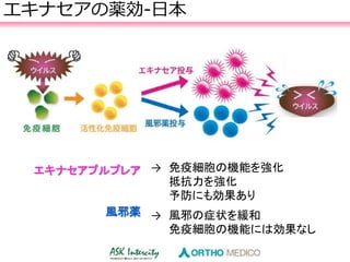 エキナセアの薬効‐日本
→ 免疫細胞の機能を強化
抵抗力を強化
予防にも効果あり
→ 風邪の症状を緩和
免疫細胞の機能には効果なし
エキナセアプルプレア
風邪薬
 