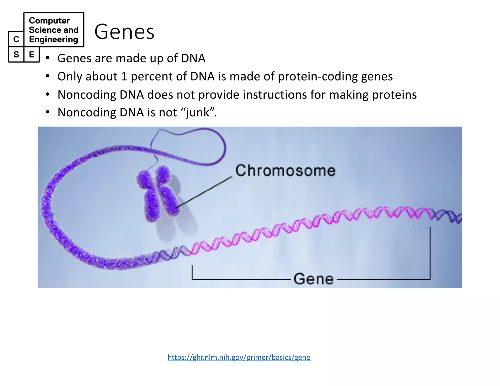 Genes
https://ghr.nlm.nih.gov/primer/basics/gene
• Genes are made up of DNA
• Only about 1 percent of DNA is made of protein-coding genes
• Noncoding DNA does not provide instructions for making proteins
• Noncoding DNA is not “junk”.
 