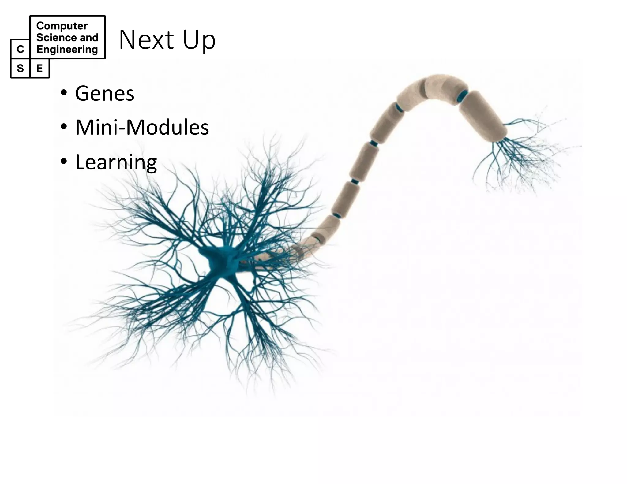 Next Up
• Genes
• Mini-Modules
• Learning
 