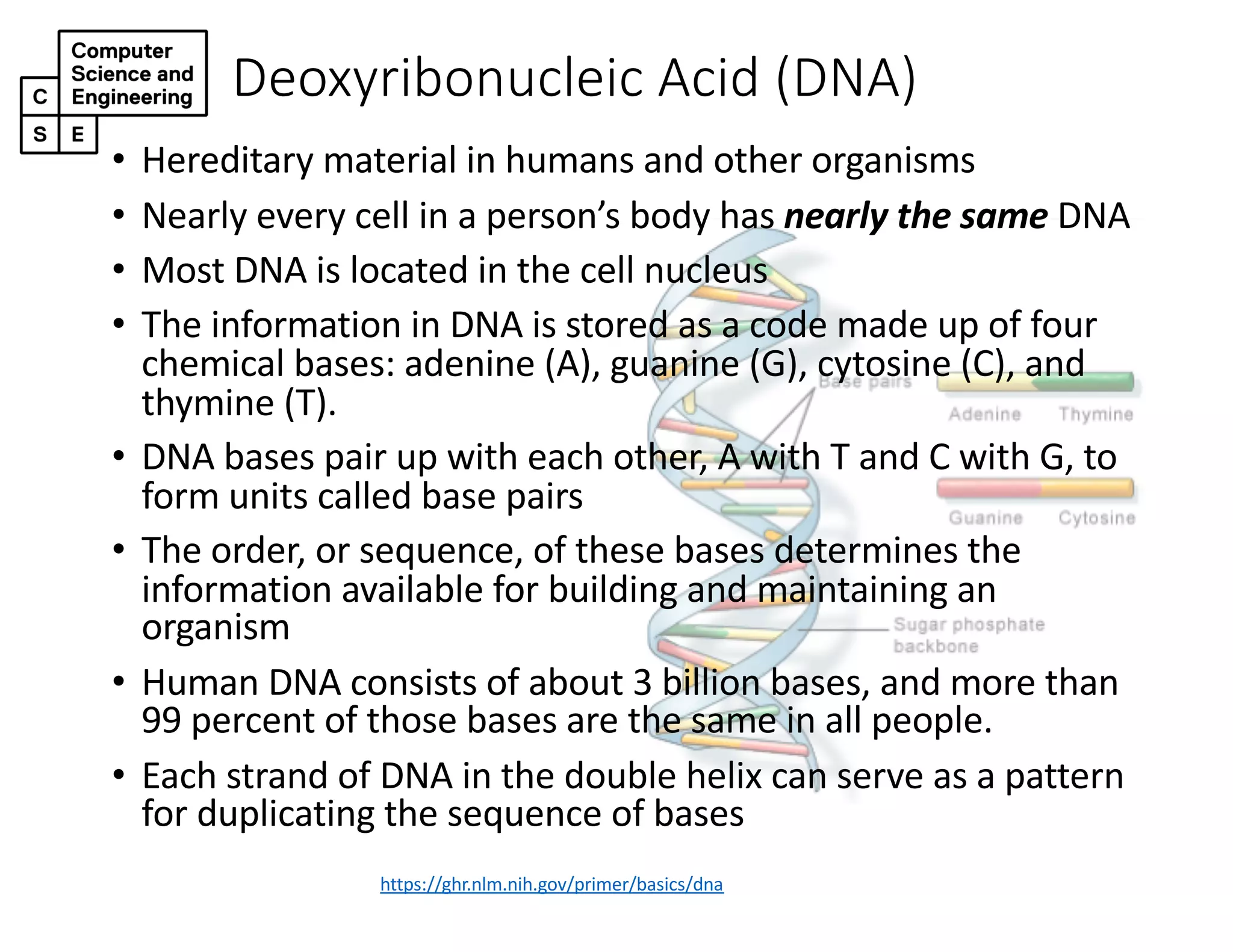 Deoxyribonucleic Acid (DNA)
https://ghr.nlm.nih.gov/primer/basics/dna
• Hereditary material in humans and other organisms
• Nearly every cell in a person’s body has nearly the same DNA
• Most DNA is located in the cell nucleus
• The information in DNA is stored as a code made up of four
chemical bases: adenine (A), guanine (G), cytosine (C), and
thymine (T).
• DNA bases pair up with each other, A with T and C with G, to
form units called base pairs
• The order, or sequence, of these bases determines the
information available for building and maintaining an
organism
• Human DNA consists of about 3 billion bases, and more than
99 percent of those bases are the same in all people.
• Each strand of DNA in the double helix can serve as a pattern
for duplicating the sequence of bases
 
