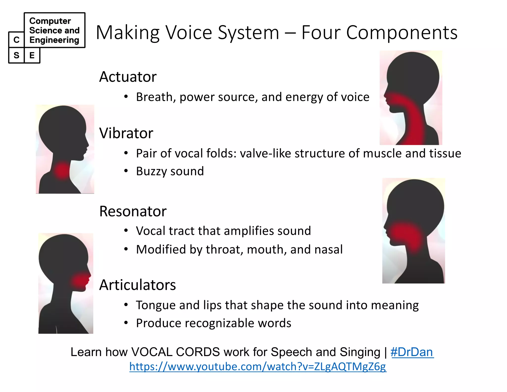 Making Voice System – Four Components
Learn how VOCAL CORDS work for Speech and Singing | #DrDan
https://www.youtube.com/watch?v=ZLgAQTMgZ6g
Actuator
• Breath, power source, and energy of voice
Vibrator
• Pair of vocal folds: valve-like structure of muscle and tissue
• Buzzy sound
Resonator
• Vocal tract that amplifies sound
• Modified by throat, mouth, and nasal
Articulators
• Tongue and lips that shape the sound into meaning
• Produce recognizable words
 