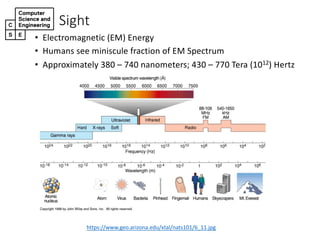 Sight
• Electromagnetic-(EM)-Energy-
• Humans-see-miniscule-fraction-of-EM-Spectrum
• Approximately-380-– 740-nanometers;-430-– 770-Tera-(1012)-Hertz
https://www.geo.arizona.edu/xtal/nats101/6_11.jpg
 