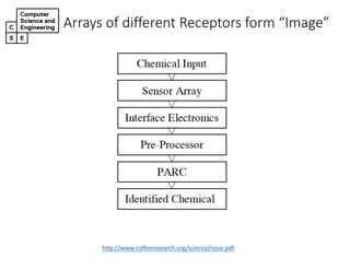 Arrays&of&different&Receptors&form&“Image”
http://www.coffeeresearch.org/science/nose.pdf
 