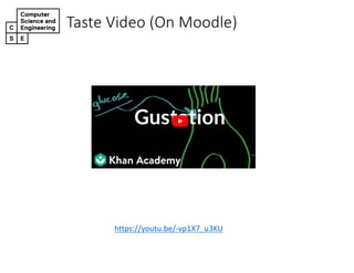 Taste&Video&(On&Moodle)
https://youtu.be/-vp1X7_u3KU
 