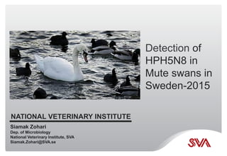 Detection of
HPH5N8 in
Mute swans in
Sweden-2015
NATIONAL VETERINARY INSTITUTE
Siamak Zohari
Dep. of Microbiology
National Veterinary Institute, SVA
Siamak.Zohari@SVA.se
 