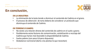 Contenido de cadmio en granos de cacao