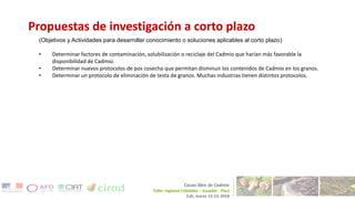 Contenido de cadmio en granos de cacao