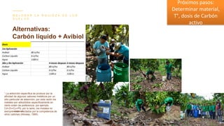 Contenido de cadmio en granos de cacao