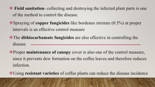  Field sanitation- collecting and destroying the infected plant parts is one
of the method to control the disease.
Spraying of copper fungicides like bordeaux mixture (0.5%) at proper
intervals is an effective control measure
The dithiocarbamate fungicides are also effective in controlling the
disease
Proper maintenance of canopy cover is also one of the control measure,
since it prevents dew formation on the coffee leaves and therefore reduces
infection.
Using resistant varieties of coffee plants can reduce the disease incidence