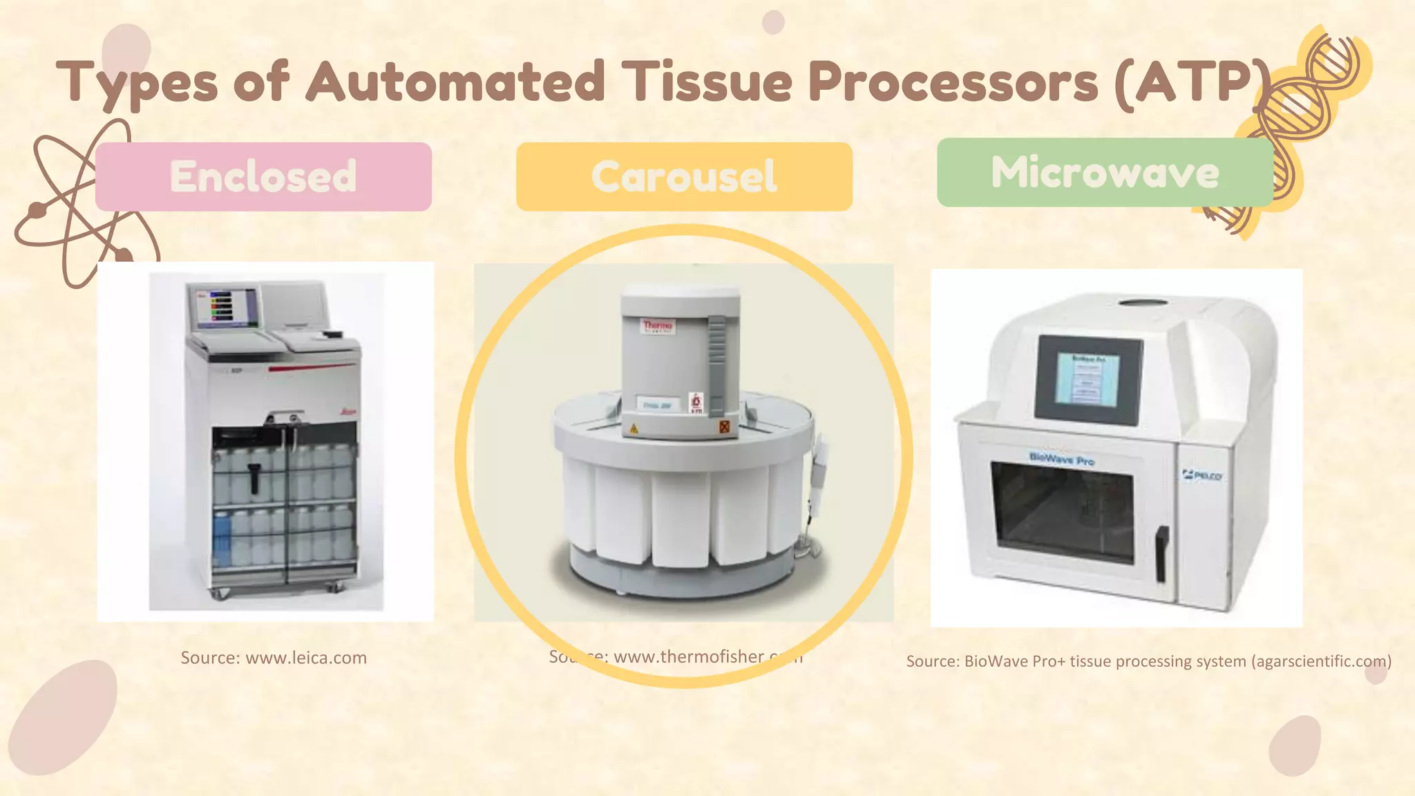 Histological Techniques Perform Fixation and Tissue Processing PPT