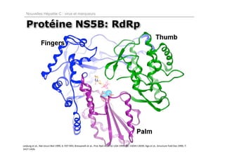 Nouvelles Hépatite C : virus et marqueurs


   Protéine NS5B: RdRp




Lesburg et al., Nat struct Biol 1999, 6: 937‐943; Bressanelli et al., Proc Natl Acad Sci USA 1999, 96: 13034‐13039; Ago et al., Srructure Fold Des 1999, 7:
1417‐1426.
 