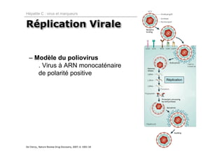 Hépatite C : virus et marqueurs


Réplication Virale


  – Modèle du poliovirus
     . Virus à ARN monocaténaire
     de polarité positive
                                                              Réplication




De Clercq., Nature Review Drug Discovery, 2007; 6: 1001‐18 
 