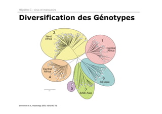 Hépatite C : virus et marqueurs


Diversification des Génotypes




Simmonds et al., Hepatology 2005, 42(4):962‐73. 
 