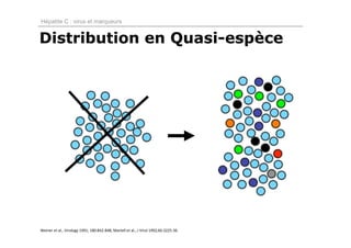 Hépatite C : virus et marqueurs


Distribution en Quasi-espèce




Weiner et al., Virology 1991; 180:842‐848; Martell et al., J Virol 1992;66:3225‐36.
 