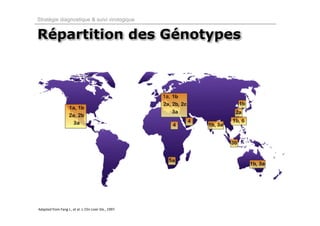 Stratégie diagnostique & suivi virologique


Répartition des Génotypes



                                                          1a,




Adapted from Fang J., et al. J. Clin Liver Dis., 1997. 
 