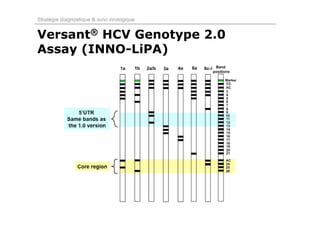 Stratégie diagnostique & suivi virologique


Versant® HCV Genotype 2.0
Assay (INNO-LiPA)
 