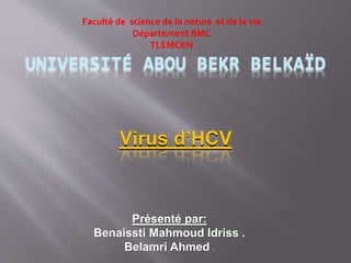 UNIVERSITÉ ABOU BEKR BELKAÏD
Faculté de science de la nature et de la vie
Département BMC
TLEMCEN
Présenté par:
Benaissti Mahmoud Idriss .
Belamri Ahmed .
Virus d’HCV
 