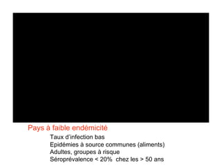 Pays à faible endémicité Taux d’infection bas Epidémies à source communes (aliments) Adultes, groupes à risque Séroprévalence < 20%  chez les > 50 ans 