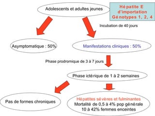 Adolescents et adultes jeunes Manifestations cliniques : 50% Incubation de 40 jours Phase prodromique de 3 à 7 jours Phase ictérique de 1 à 2 semaines Asymptomatique : 50% Pas de formes chroniques Hépatites sévères et fulminantes Mortalité de 0,5 à 4% pop générale 10 à 42% femmes enceintes Hépatite E  d’importation Génotypes 1, 2, 4 