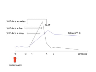 contamination semaines 0    3  4   7 9 IgG anti-VHE ALAT VHE dans les selles   VHE dans le foie VHE dans le sang 
