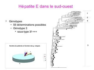Hépatite E dans le sud-ouest  Génotypes 55 déterminations possibles Génotype 3  sous-type 3f +++ 